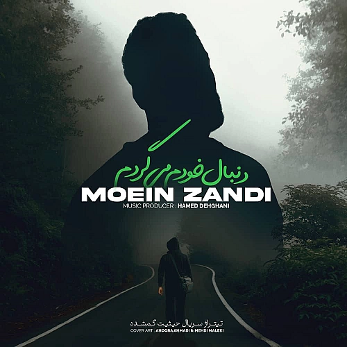 Cover artwork for Donbale Khodam Migardam by Moein Z